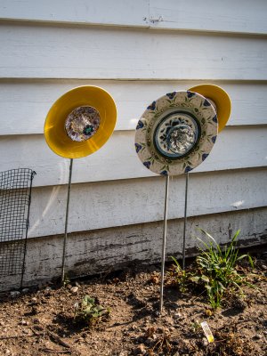 Dishes/Sunflowers