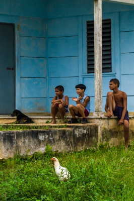 Three Boys One Dog and a Chicken