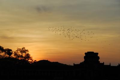 Dawn at Angkor Wat II