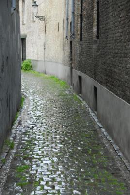 Alley after the Rain