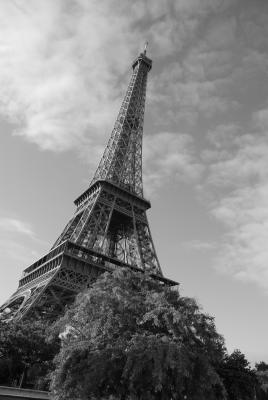 Eiffel Black and White