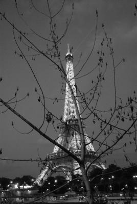 Eiffel and Twigs