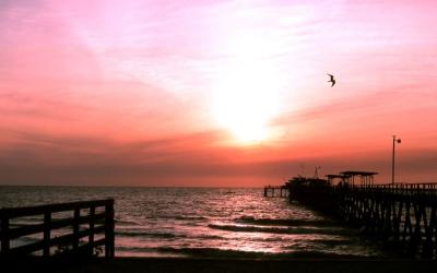 Florida Sunset Dock.jpg