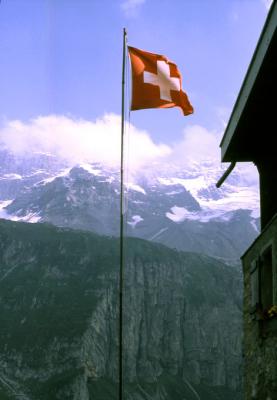 Swiss Delight