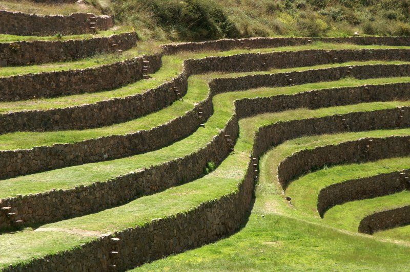 Moray