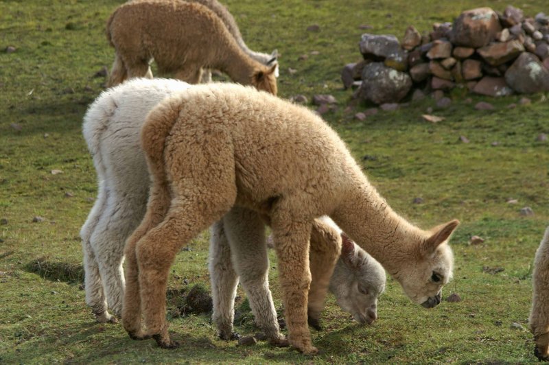 Cute or What?