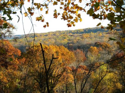 Late Fall in the Park