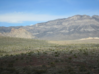 IMG_0513.JPG
