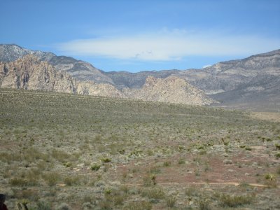IMG_0514.JPG