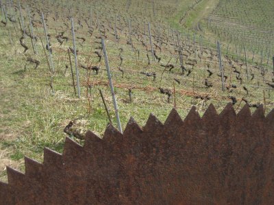 Entre sulfites et ttanos