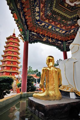 Pagoda at Shatin