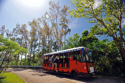 Tranvia