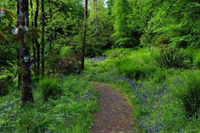 Armadale  Garden path, Scotland