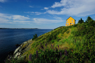 House with a view