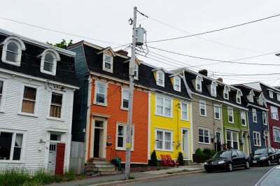 Painted Ladies