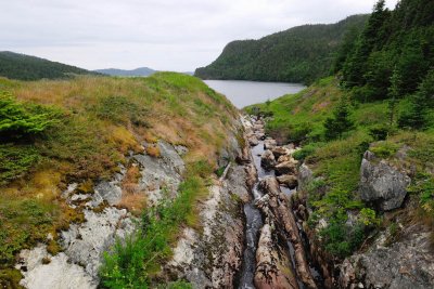 Stream cutting its way to cove