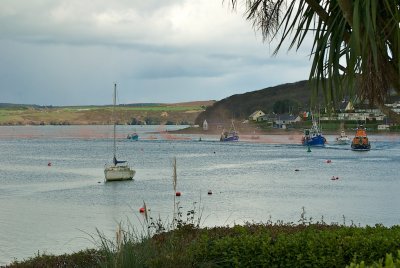 DSC_6426.jpg