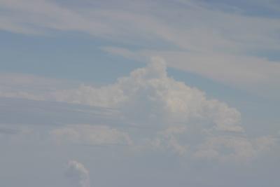 img_1164.jpg