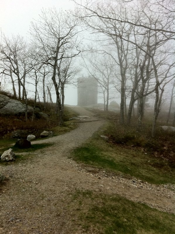 photo2.jpg