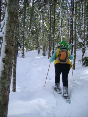 On the trail