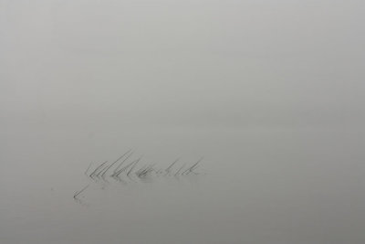IMG_7568.jpg