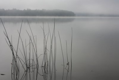 IMG_7589.jpg