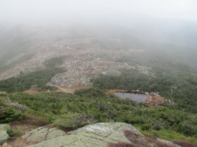 IMG_0133.JPG