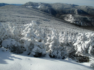 SAM_2790.jpg