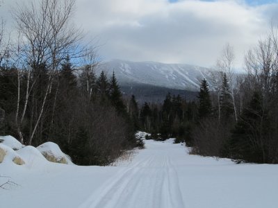 IMG_1111.JPG