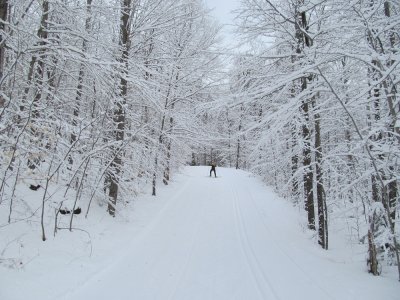 IMG_1236.JPG