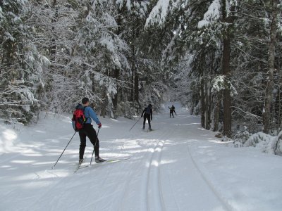 IMG_1241.JPG