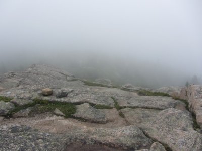 IMG_2878.jpg
