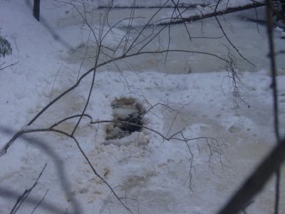 Carey's Ice fishing hole