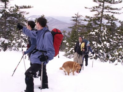John, Nico, Carl and Burley the Wonder Dog