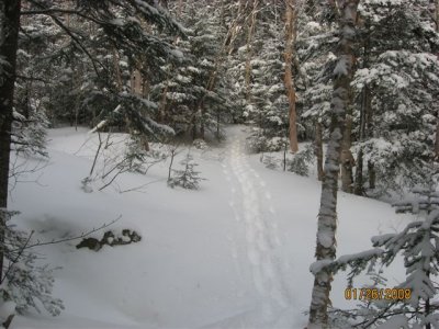 IMG_0161