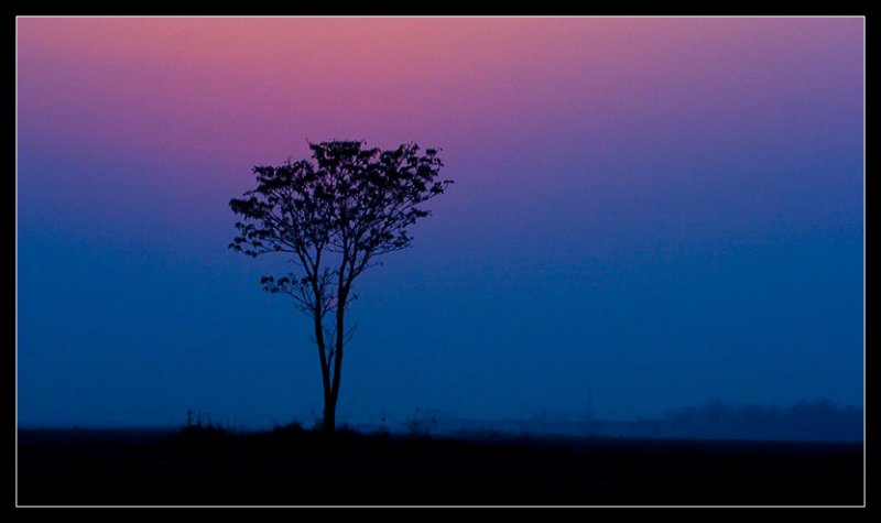 Sunset (5) Last Bit