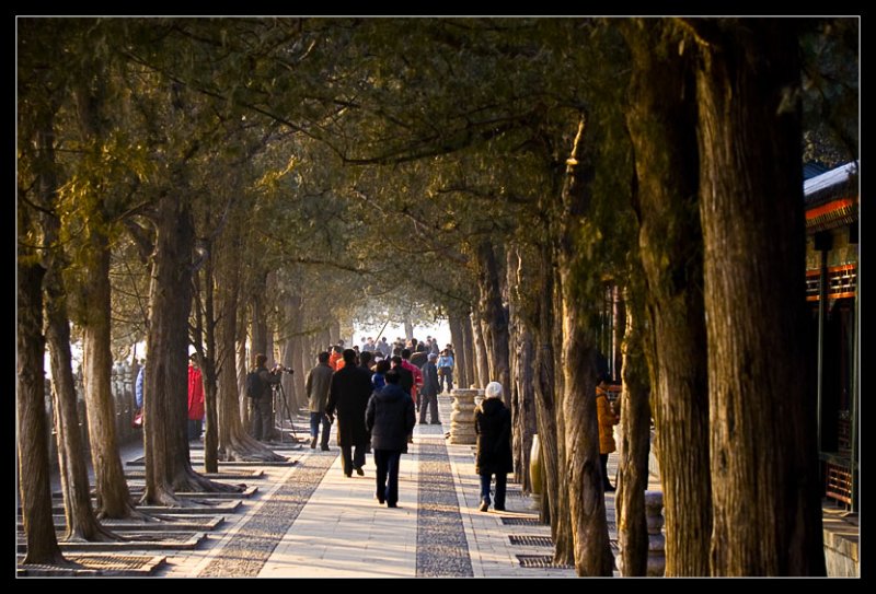 Summer Palace
