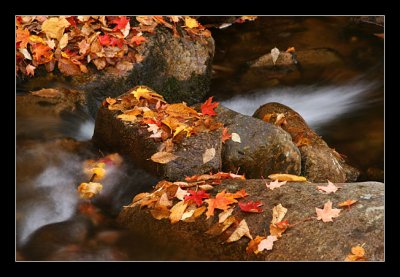 Mountain Stream