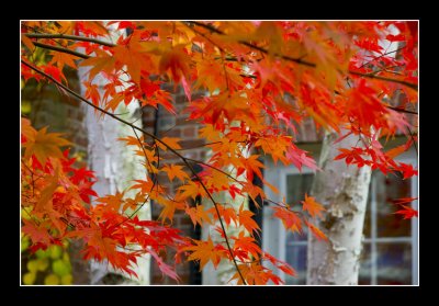 Outside Windows