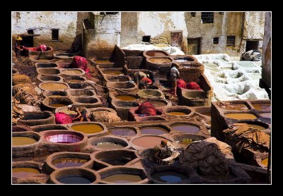 A Tannery in Fez