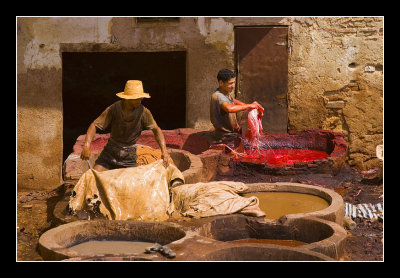 A Tannery in Fez