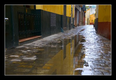 In the Rain
