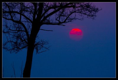 Sunset (4) Half Sun