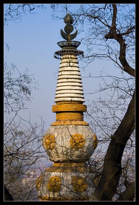 Summer Palace