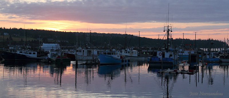seal cove 0561.jpg