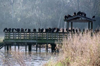 The Roost 180.29_26.jpg
