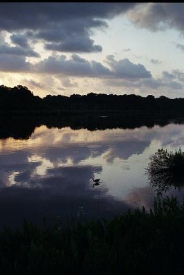 44.09_06.jpg