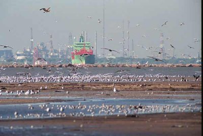 Galveston 067.24_21.JPG