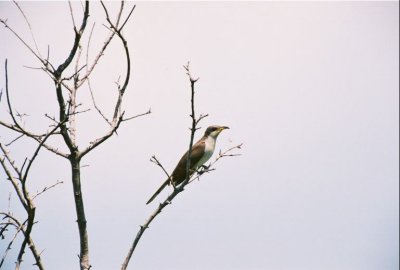 213.Img001.jpg