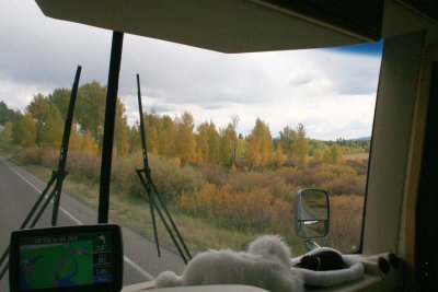 First glimpse of autum.jpg